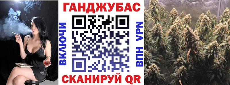 Меф мяу мяу Гаврилов Посад