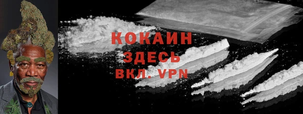 твердый Алзамай