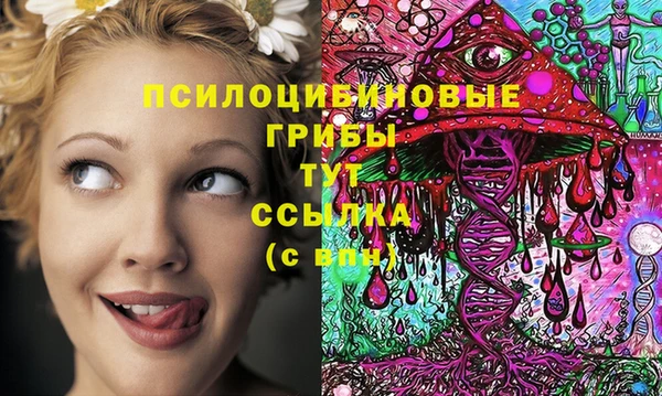 твердый Алзамай
