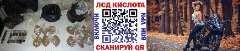 ссылка на мегу tor Гаврилов Посад ЛСД экстази ecstasy купить наркотики сайты