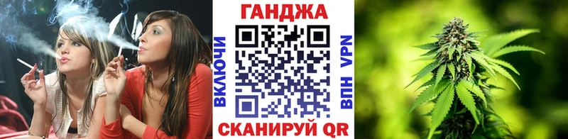 Конопля план  купить наркоту  Гаврилов Посад 